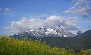 montana vacation cabins