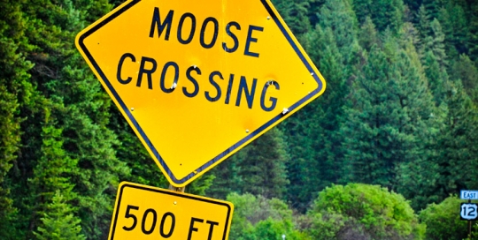 fishing Vacation in Montana's Bitterroot Valley