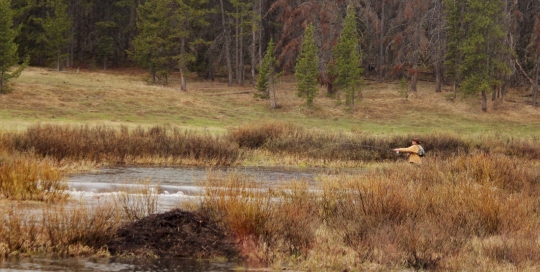 Montana Ranch Resorts