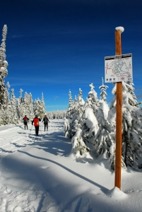 cross country skiing at chief joseph trails, montana
