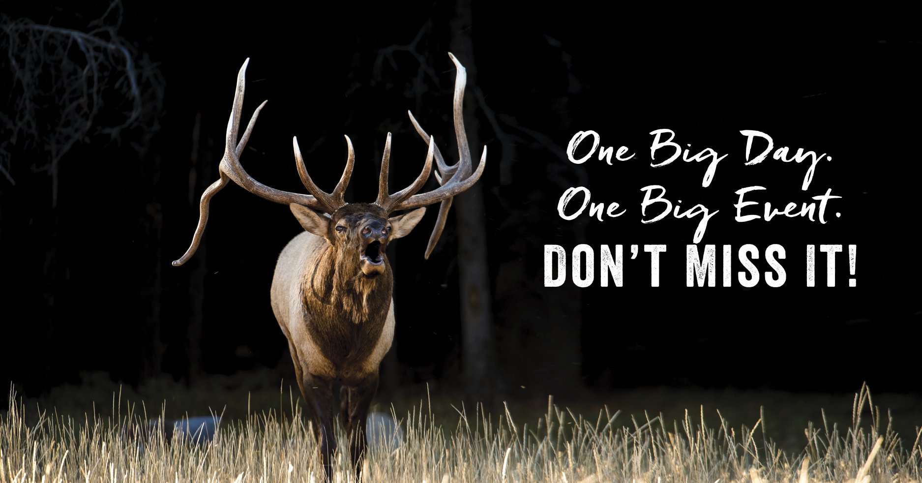 bull elk bugle rocky mountain elk foundation